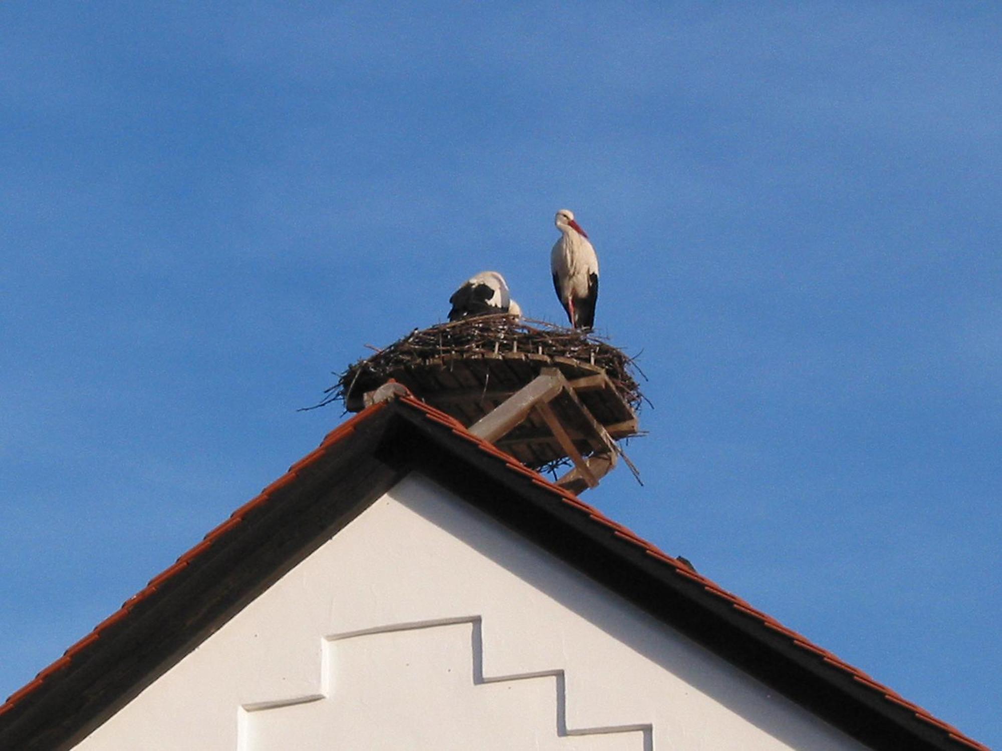 Haus Sonntag Daire Frickingen Dış mekan fotoğraf